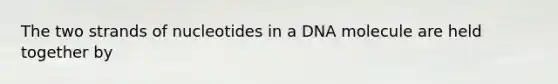 The two strands of nucleotides in a DNA molecule are held together by