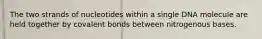 The two strands of nucleotides within a single DNA molecule are held together by covalent bonds between nitrogenous bases.