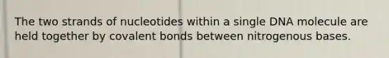 The two strands of nucleotides within a single DNA molecule are held together by covalent bonds between nitrogenous bases.