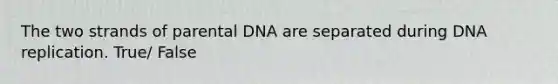 The two strands of parental DNA are separated during DNA replication. True/ False