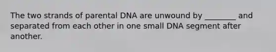 The two strands of parental DNA are unwound by ________ and separated from each other in one small DNA segment after another.