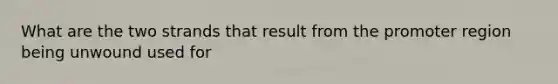 What are the two strands that result from the promoter region being unwound used for