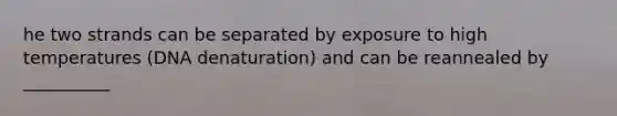 he two strands can be separated by exposure to high temperatures (DNA denaturation) and can be reannealed by __________