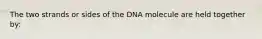 The two strands or sides of the DNA molecule are held together by: