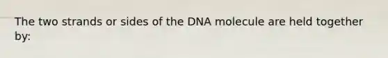 The two strands or sides of the DNA molecule are held together by: