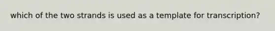 which of the two strands is used as a template for transcription?