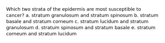 Which two strata of the epidermis are most susceptible to cancer? a. stratum granulosum and stratum spinosum b. stratum basale and stratum corneum c. stratum lucidum and stratum granulosum d. stratum spinosum and stratum basale e. stratum corneum and stratum lucidum