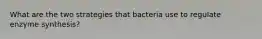 What are the two strategies that bacteria use to regulate enzyme synthesis?