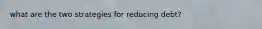 what are the two strategies for reducing debt?