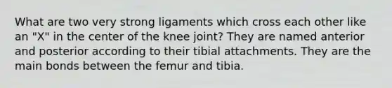 What are two very strong ligaments which cross each other like an "X" in the center of the knee joint? They are named anterior and posterior according to their tibial attachments. They are the main bonds between the femur and tibia.