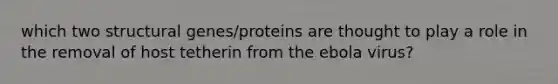 which two structural genes/proteins are thought to play a role in the removal of host tetherin from the ebola virus?