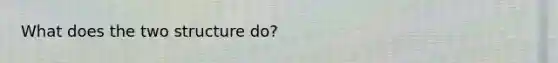 What does the two structure do?
