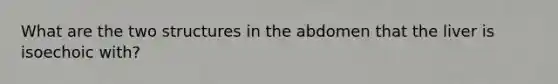 What are the two structures in the abdomen that the liver is isoechoic with?