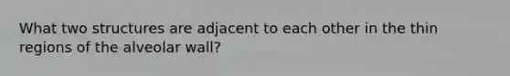 What two structures are adjacent to each other in the thin regions of the alveolar wall?