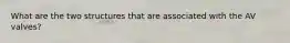 What are the two structures that are associated with the AV valves?