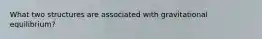 What two structures are associated with gravitational equilibrium?