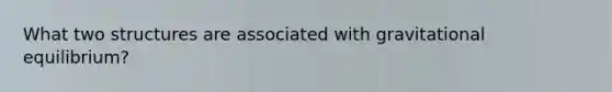 What two structures are associated with gravitational equilibrium?