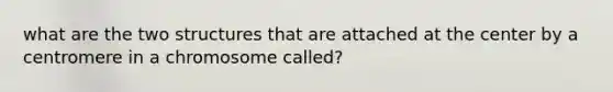 what are the two structures that are attached at the center by a centromere in a chromosome called?