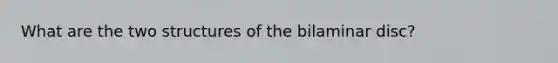 What are the two structures of the bilaminar disc?