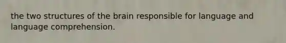the two structures of the brain responsible for language and language comprehension.