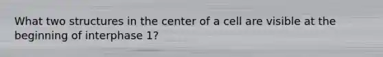 What two structures in the center of a cell are visible at the beginning of interphase 1?