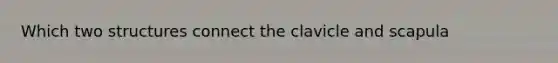 Which two structures connect the clavicle and scapula
