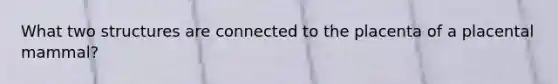 What two structures are connected to the placenta of a placental mammal?