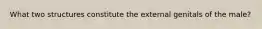 What two structures constitute the external genitals of the male?