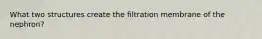 What two structures create the filtration membrane of the nephron?