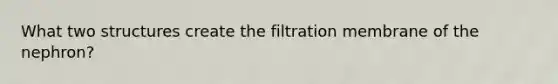 What two structures create the filtration membrane of the nephron?