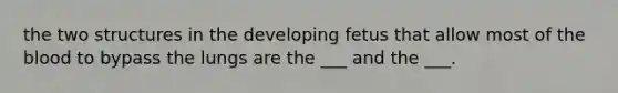 the two structures in the developing fetus that allow most of the blood to bypass the lungs are the ___ and the ___.