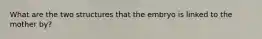 What are the two structures that the embryo is linked to the mother by?