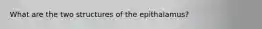 What are the two structures of the epithalamus?