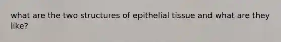 what are the two structures of epithelial tissue and what are they like?