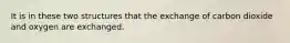 It is in these two structures that the exchange of carbon dioxide and oxygen are exchanged.