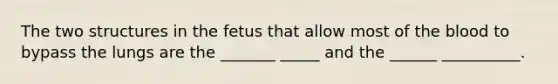 The two structures in the fetus that allow most of the blood to bypass the lungs are the _______ _____ and the ______ __________.