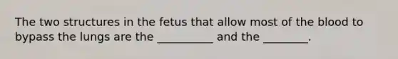 The two structures in the fetus that allow most of the blood to bypass the lungs are the __________ and the ________.