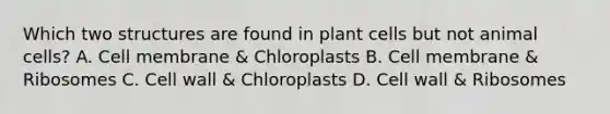 Which two structures are found in plant cells but not animal cells? A. Cell membrane & Chloroplasts B. Cell membrane & Ribosomes C. Cell wall & Chloroplasts D. Cell wall & Ribosomes