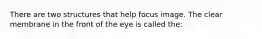 There are two structures that help focus image. The clear membrane in the front of the eye is called the: