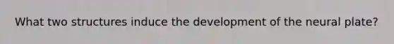 What two structures induce the development of the neural plate?