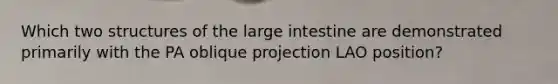 Which two structures of the large intestine are demonstrated primarily with the PA oblique projection LAO position?