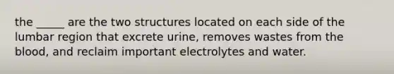 the _____ are the two structures located on each side of the lumbar region that excrete urine, removes wastes from the blood, and reclaim important electrolytes and water.