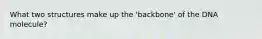 What two structures make up the 'backbone' of the DNA molecule?