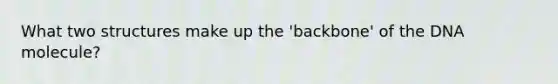 What two structures make up the 'backbone' of the DNA molecule?