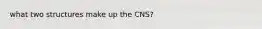 what two structures make up the CNS?