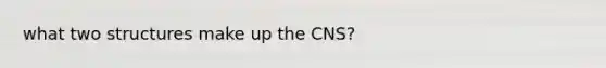 what two structures make up the CNS?