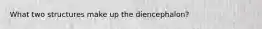 What two structures make up the diencephalon?