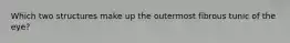 Which two structures make up the outermost fibrous tunic of the eye?