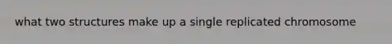 what two structures make up a single replicated chromosome