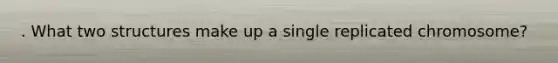 . What two structures make up a single replicated chromosome?